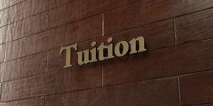 Students receiving personalised tuition in a small group setting